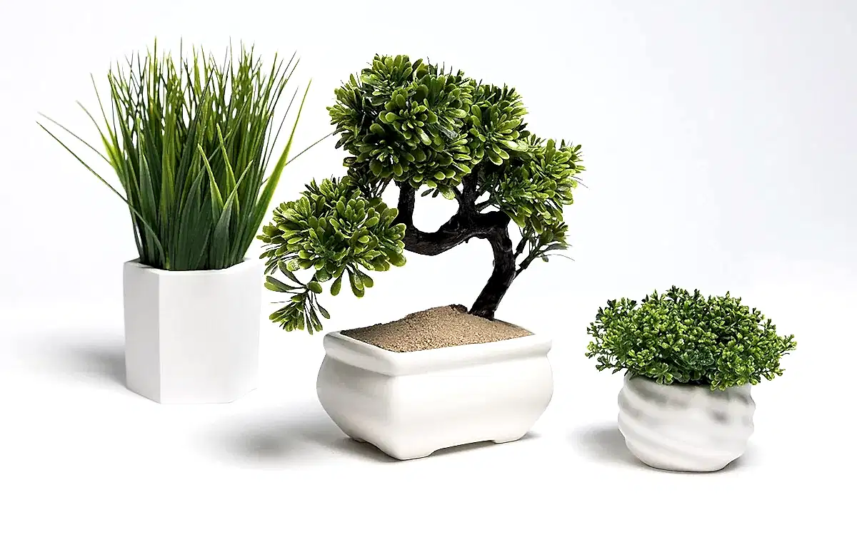 Нужны трендовые идеи для фотосъемки товаров?